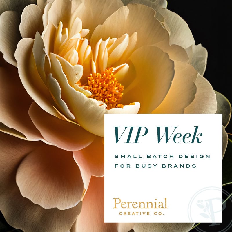 VIP Week Promo Image
